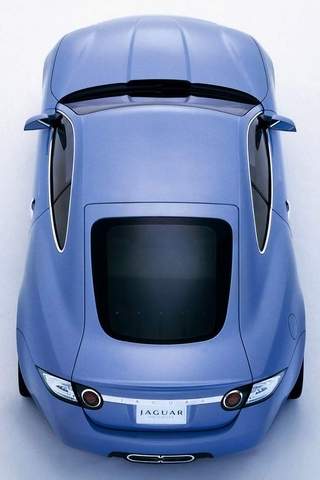Jaguar5