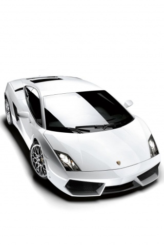 lambo