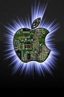 apple113