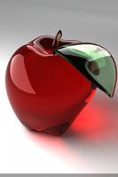 apple19