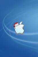 Cold_Apple