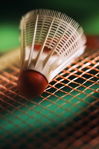 Badminton