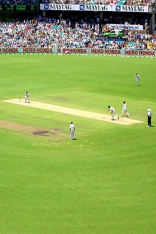 CricketSCG