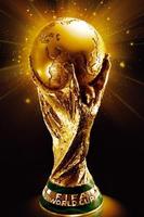 Fifa WC