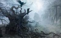 the_witcher_07