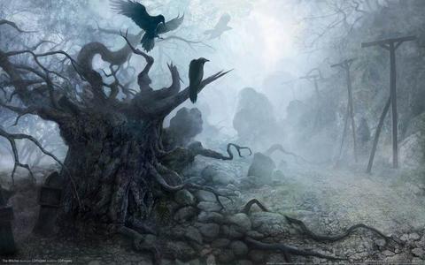 the_witcher_07