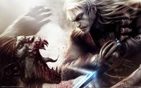 the_witcher_03