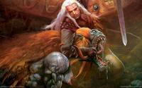 the_witcher_02