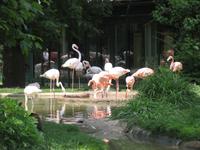 IMG_0491