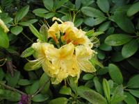 IMG_0545
