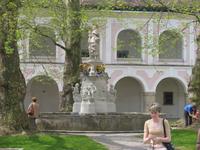 IMG_0554