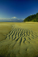 Nature015