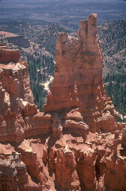 Nature018