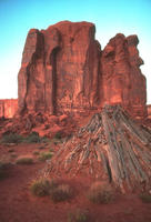 Nature053