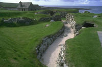 Nature055
