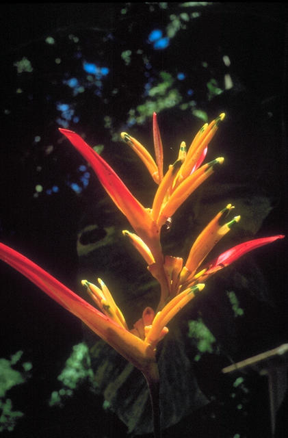 Nature056