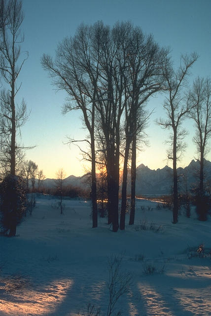 Nature060