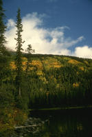 Nature073