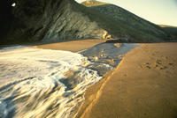 Nature081