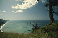 Nature082