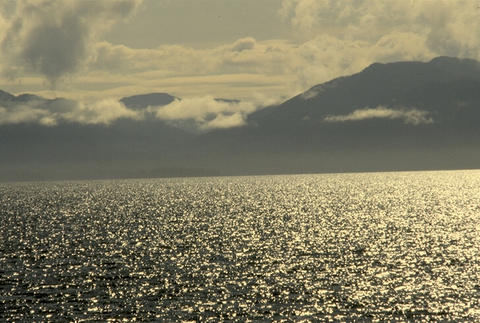 Nature084