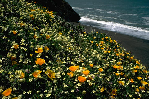 Nature087