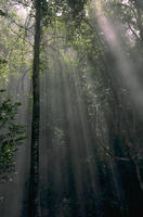 Nature092