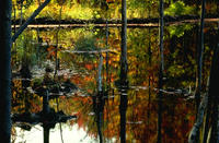 Nature093
