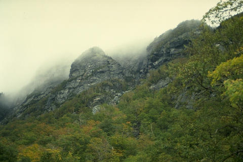 Nature095