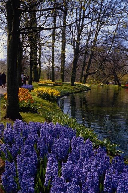 Nature171