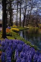 Nature171