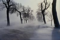 Nature174