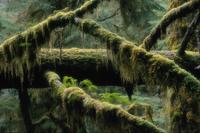 Nature179