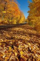 Nature185