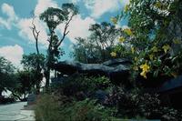 Nature188