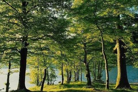 Nature198