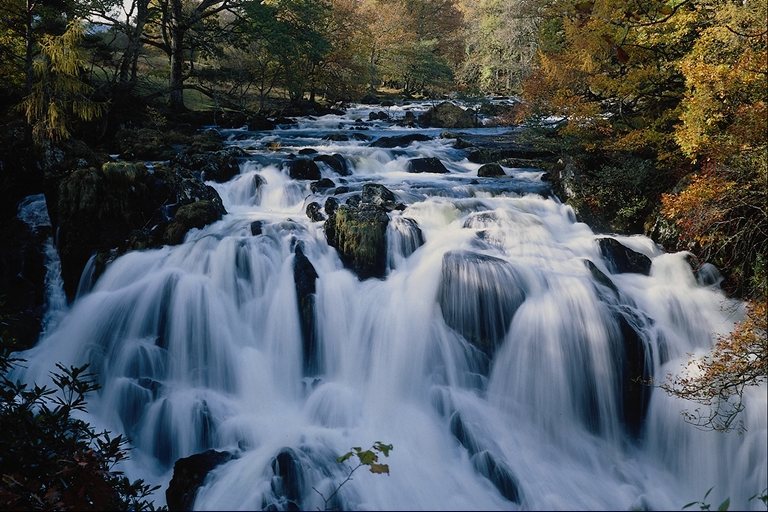 Nature201