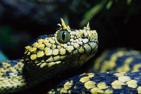 Nature228