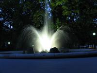 IMG_0709
