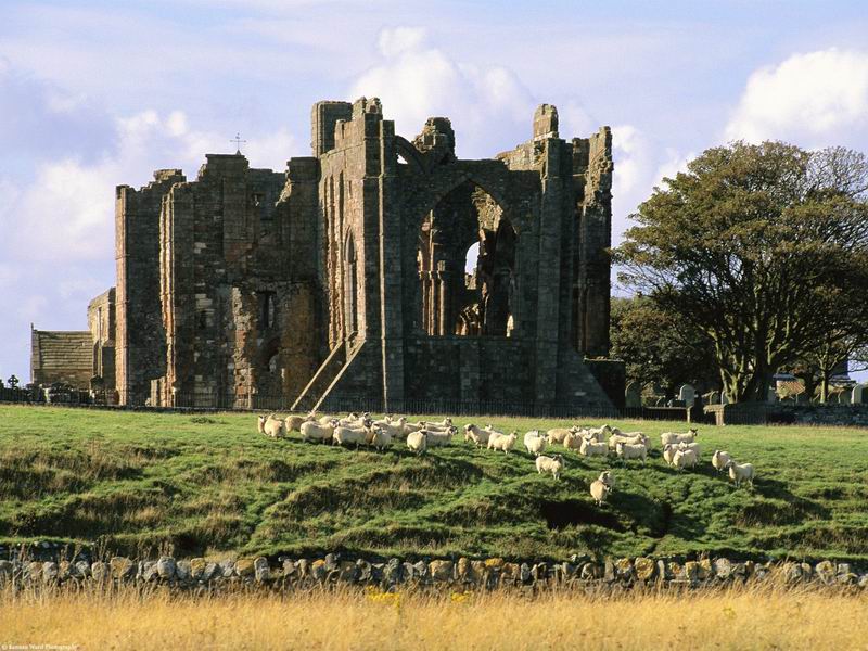 ruines_181