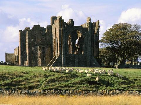 ruines_181