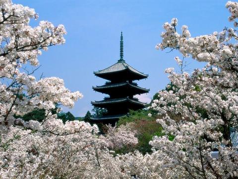 architecture_231