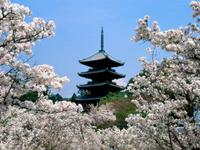 architecture_231
