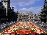 architecture_311