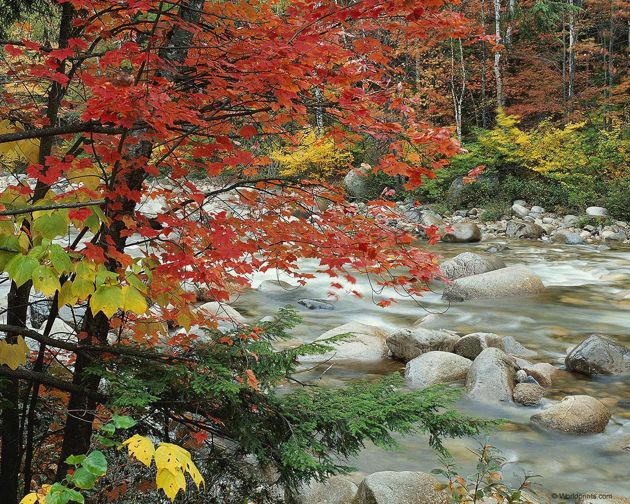 CREEK