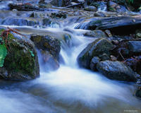 CREEK_1