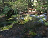 STREAM02