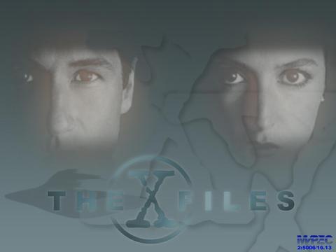 X-FIL-10