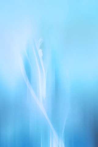 abstrakt6_9
