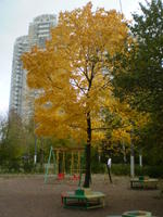 Каширское шоссе 148